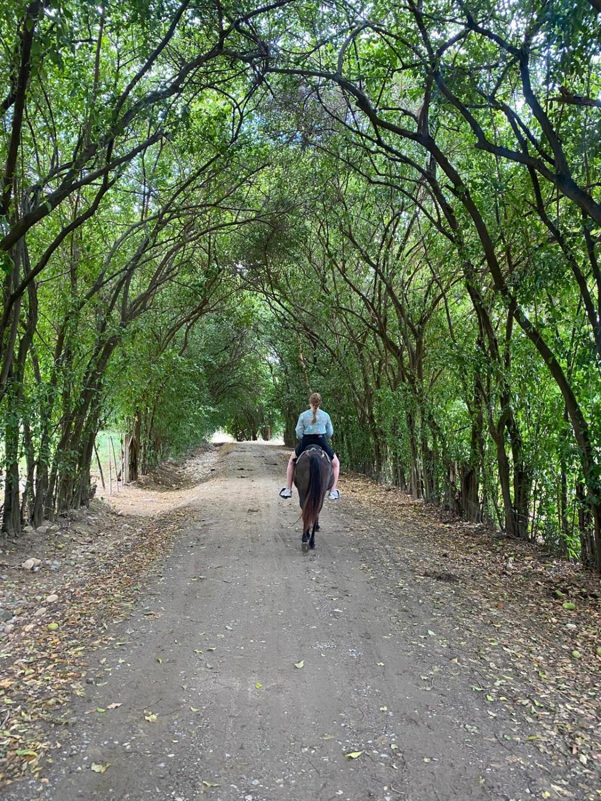 Baraya Finca Ecoturistica Los Jagueyes מראה חיצוני תמונה